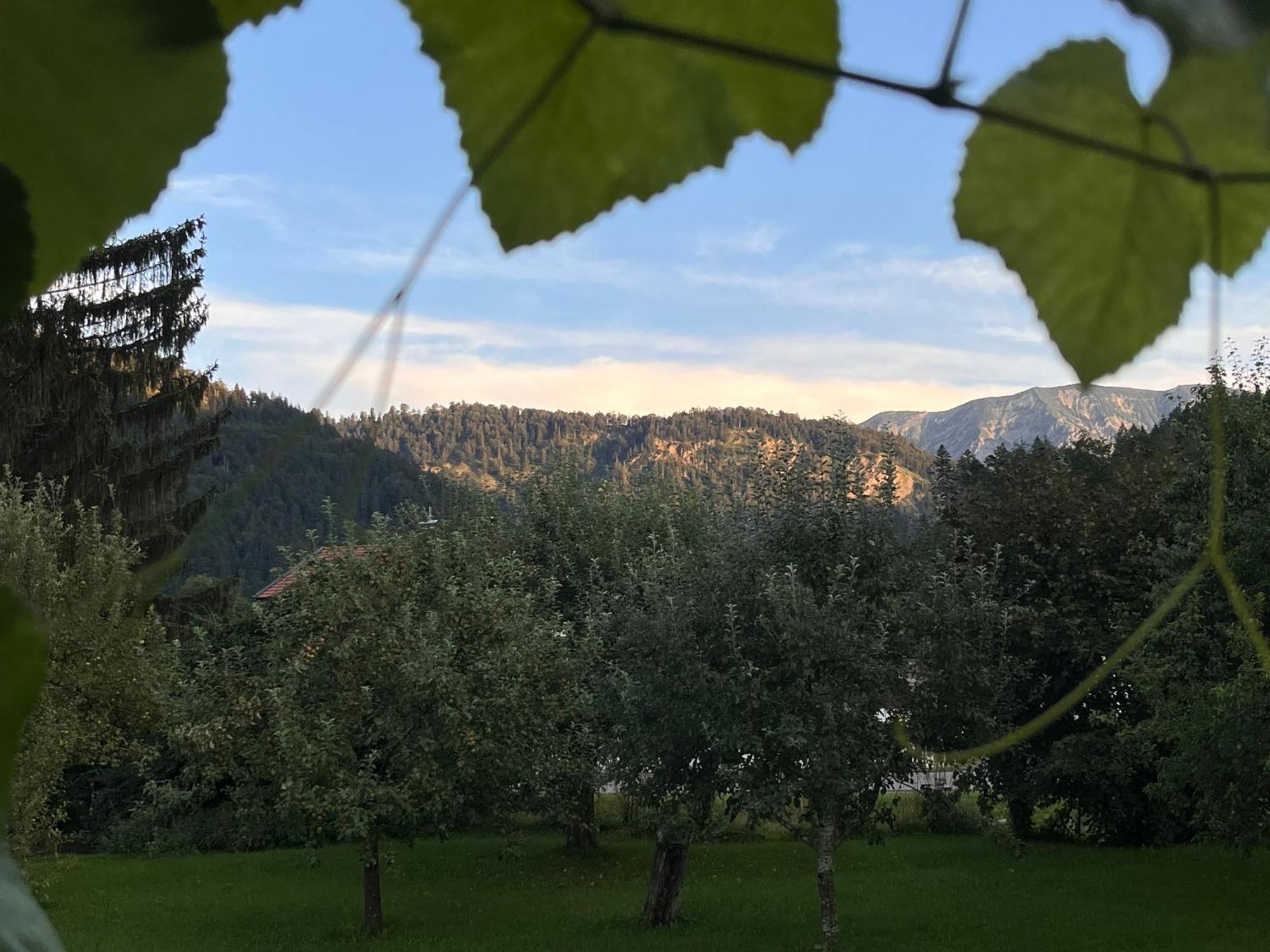 Apartment Gaestehaus Zum Thoma